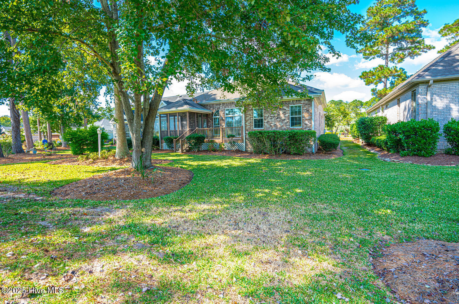 100538756 | Photo 42