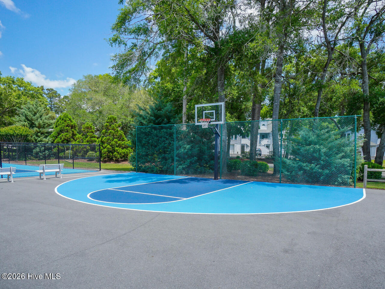 100557548 | Photo 40