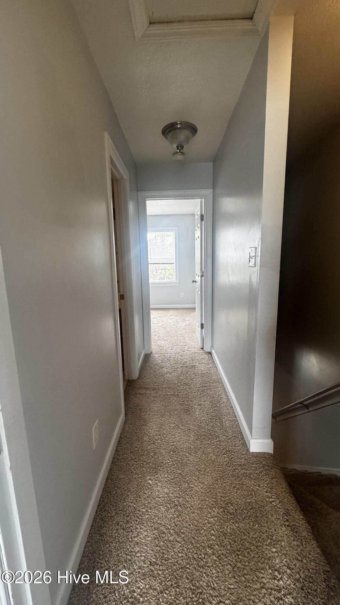 100547504 | Photo 12