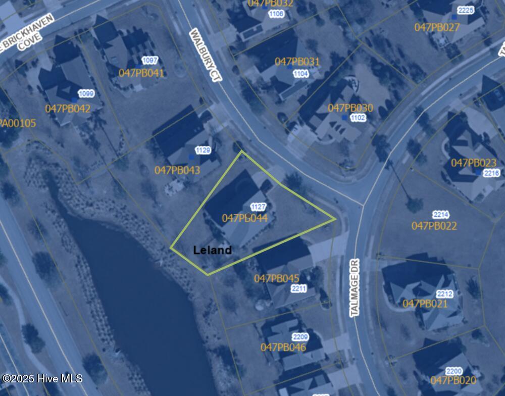 100546164 | Photo 48