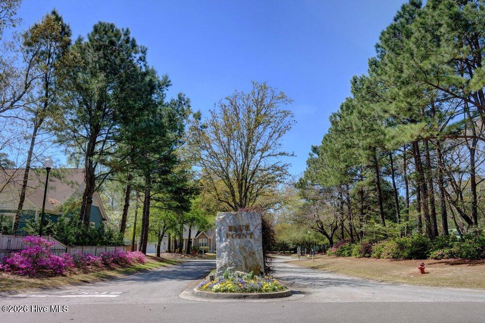 100558547 | Photo 49