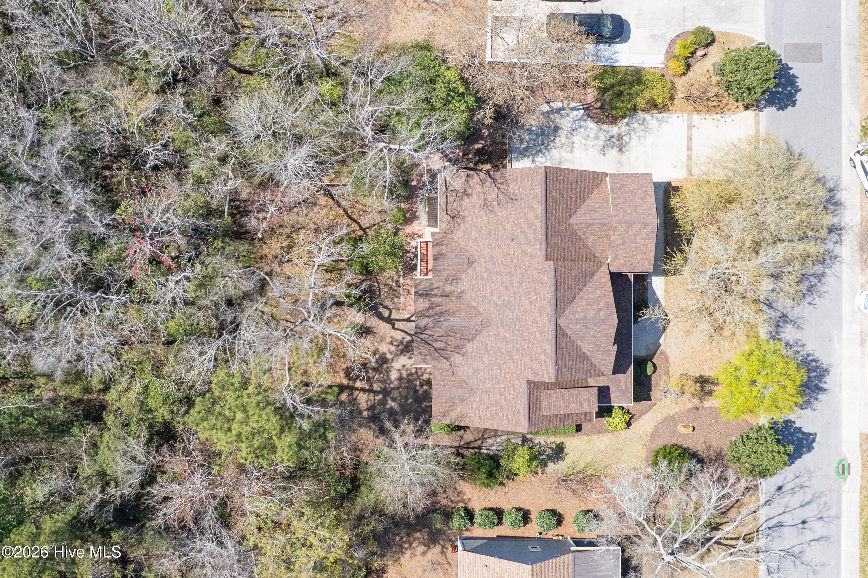 100563168 | Photo 55