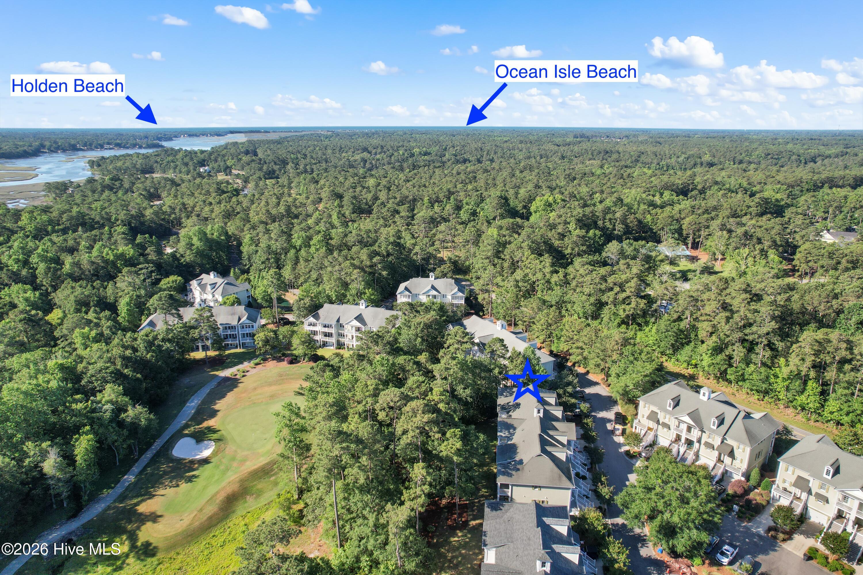 100579831 | Photo 33