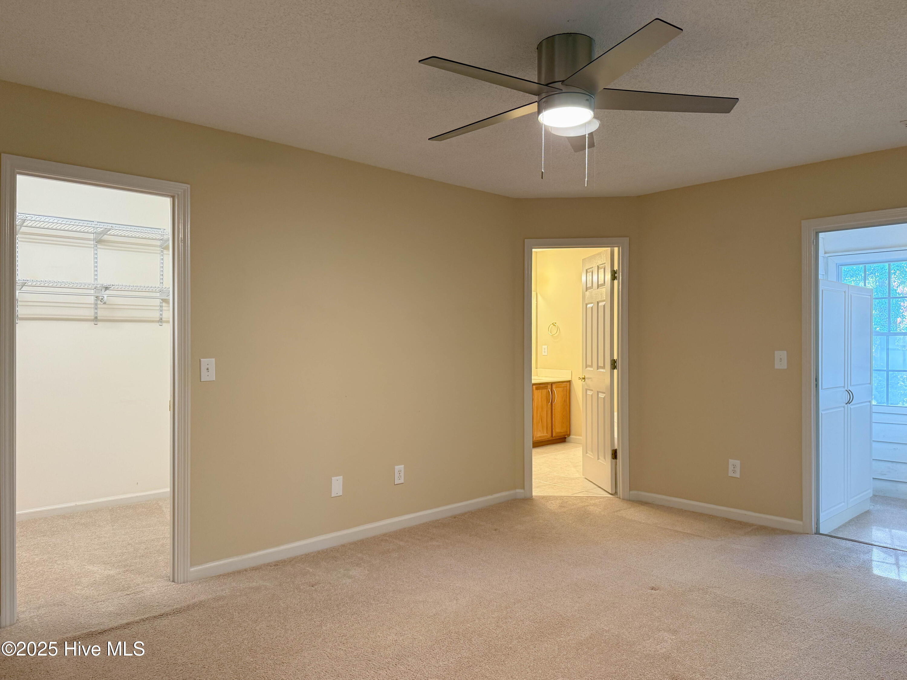 100542356 | Photo 27