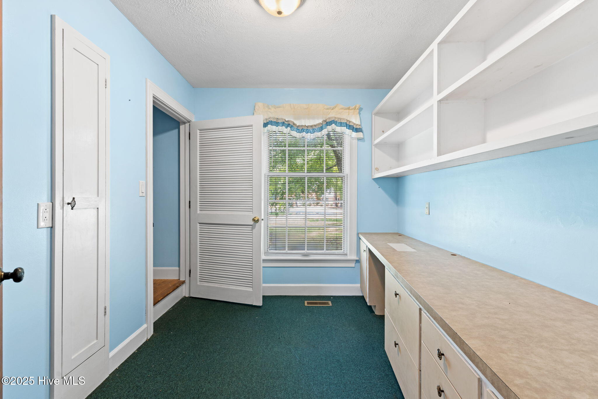 100526462 | Photo 46