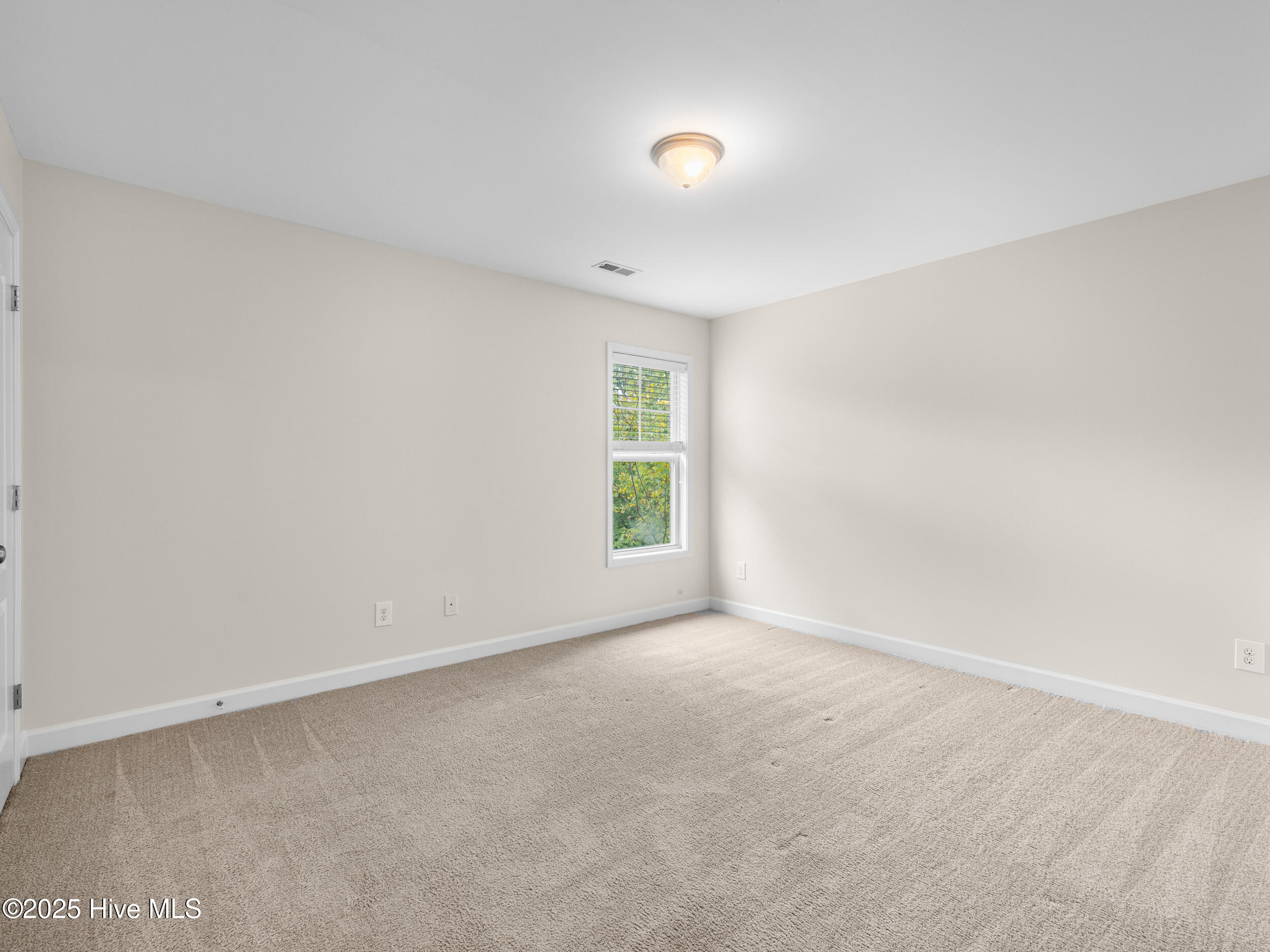 100533825 | Photo 35