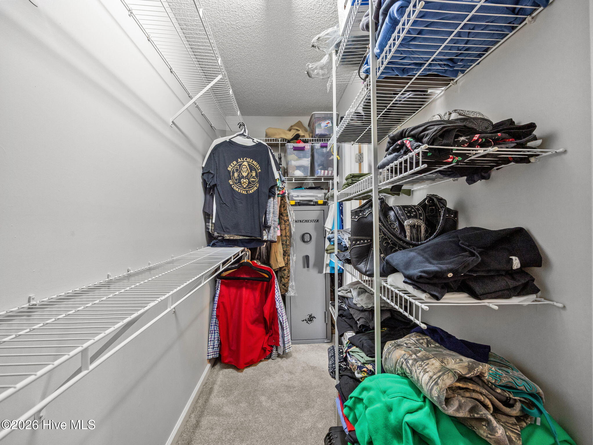 100566884 | Photo 25