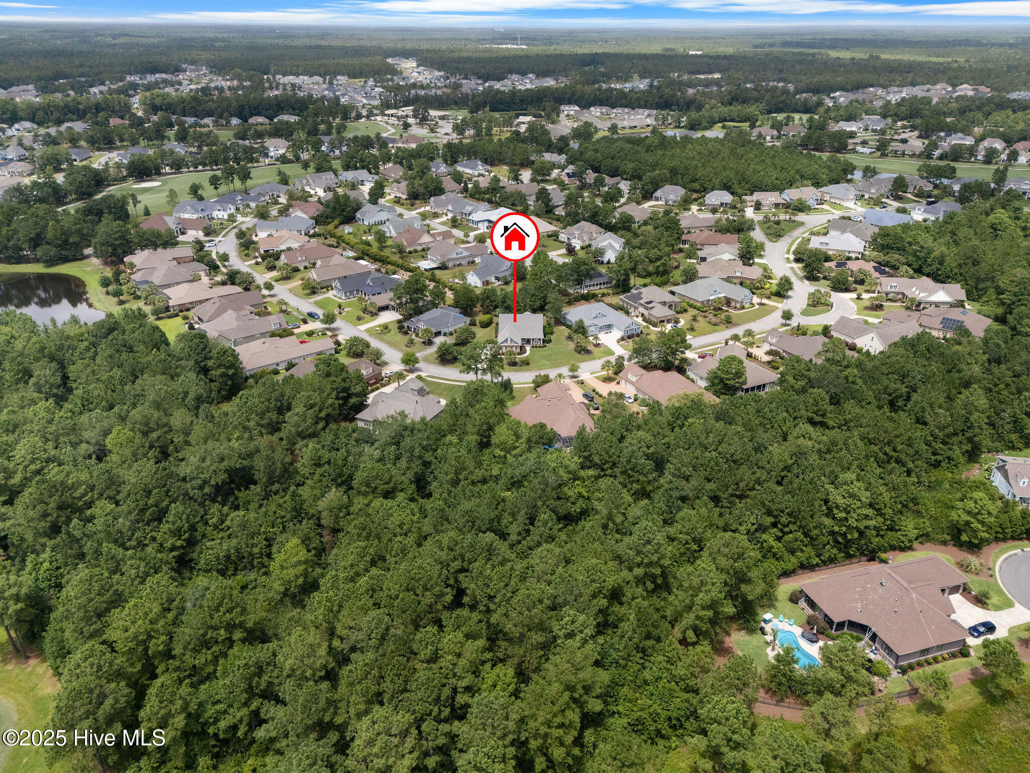 100524578 | Photo 60