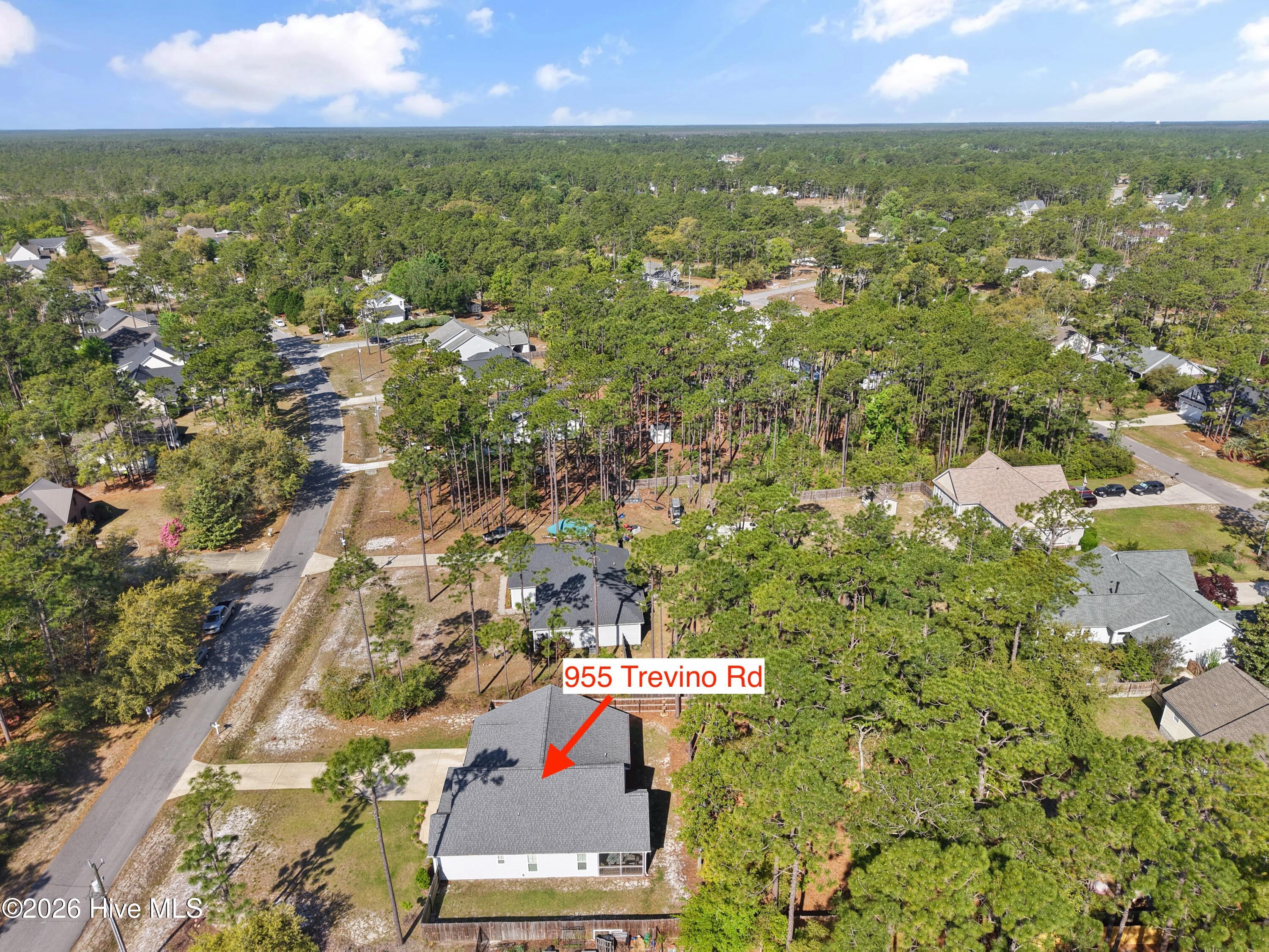 100568051 | Photo 46