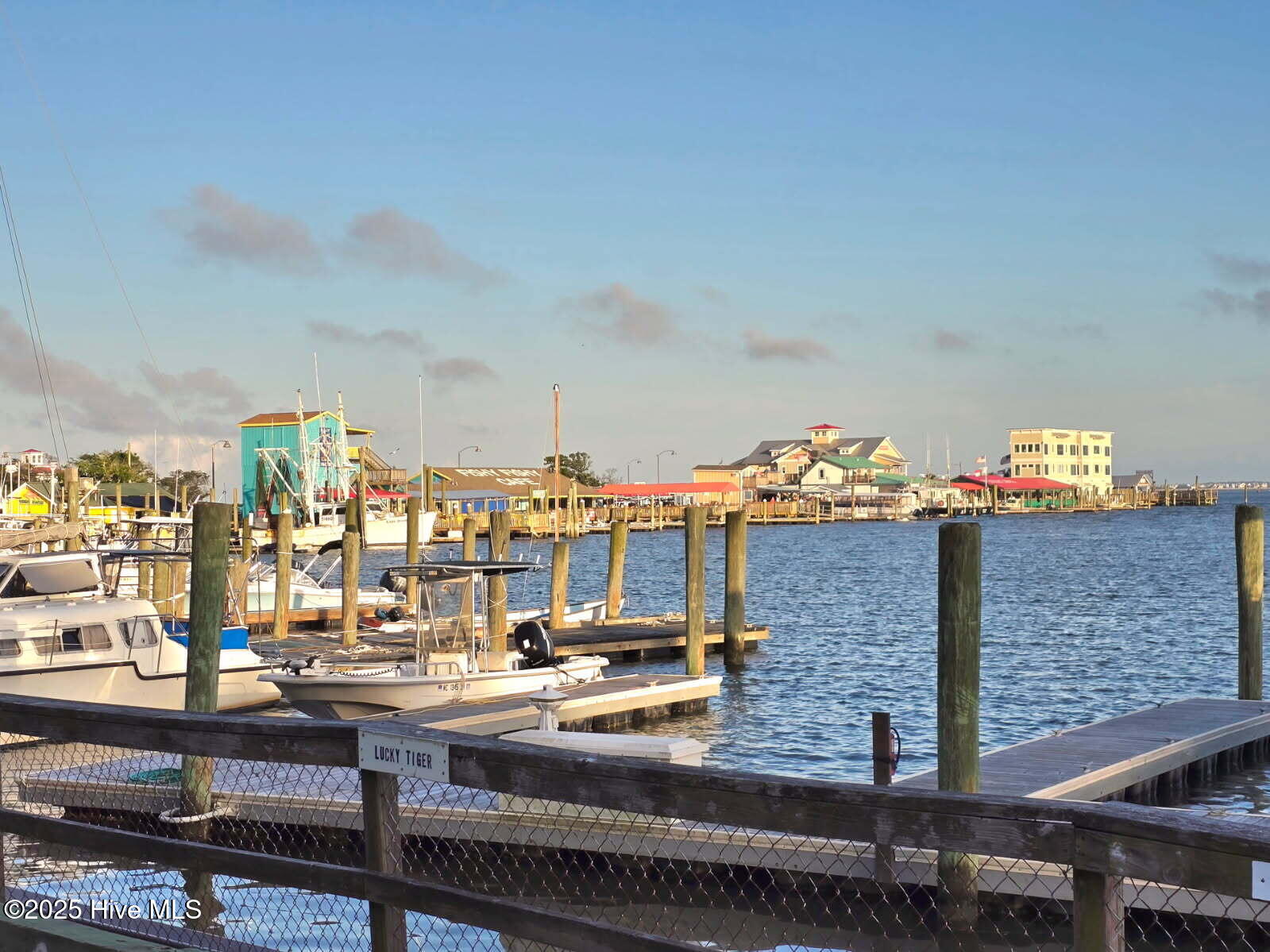 100545045 | Photo 10