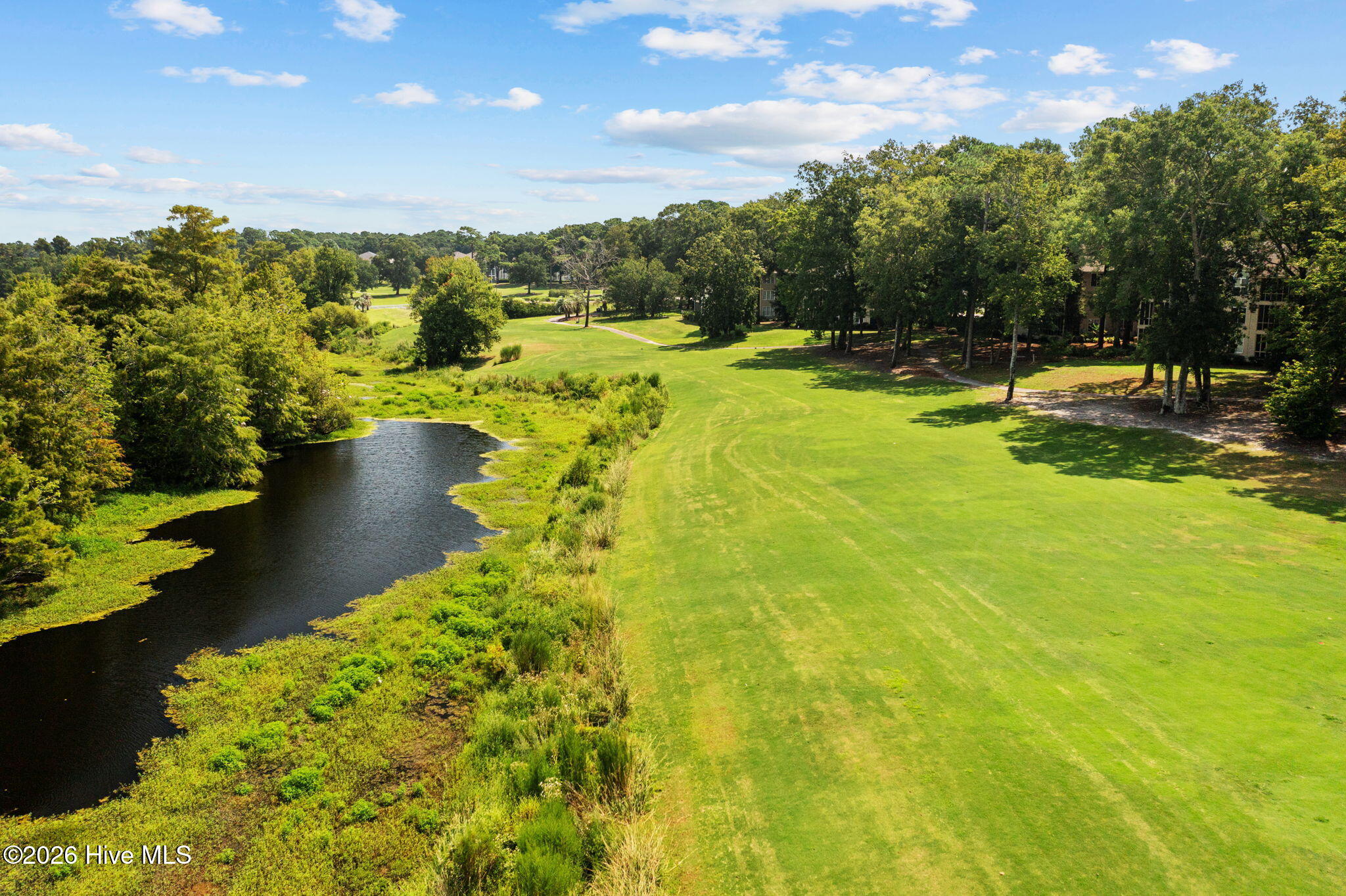 100559711 | Photo 67