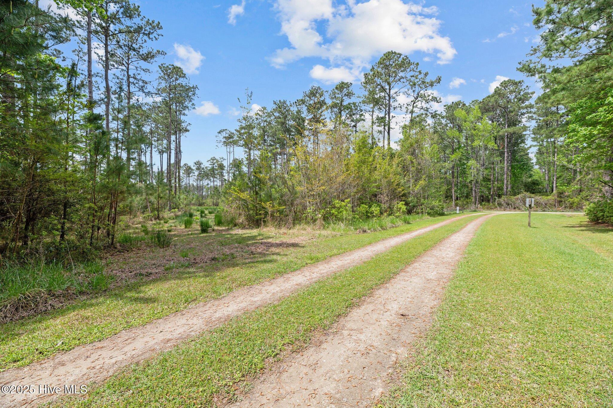 Driveway 1