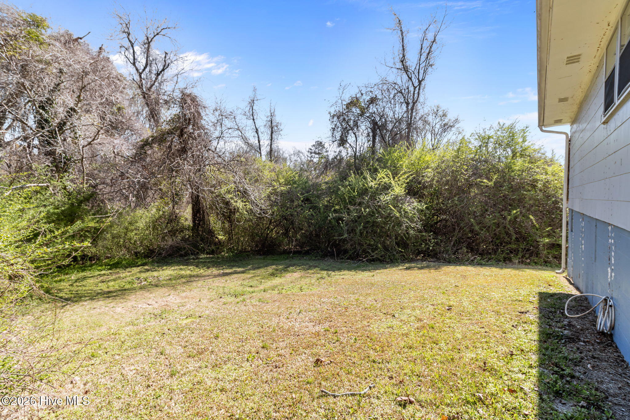 100561525 | Photo 46