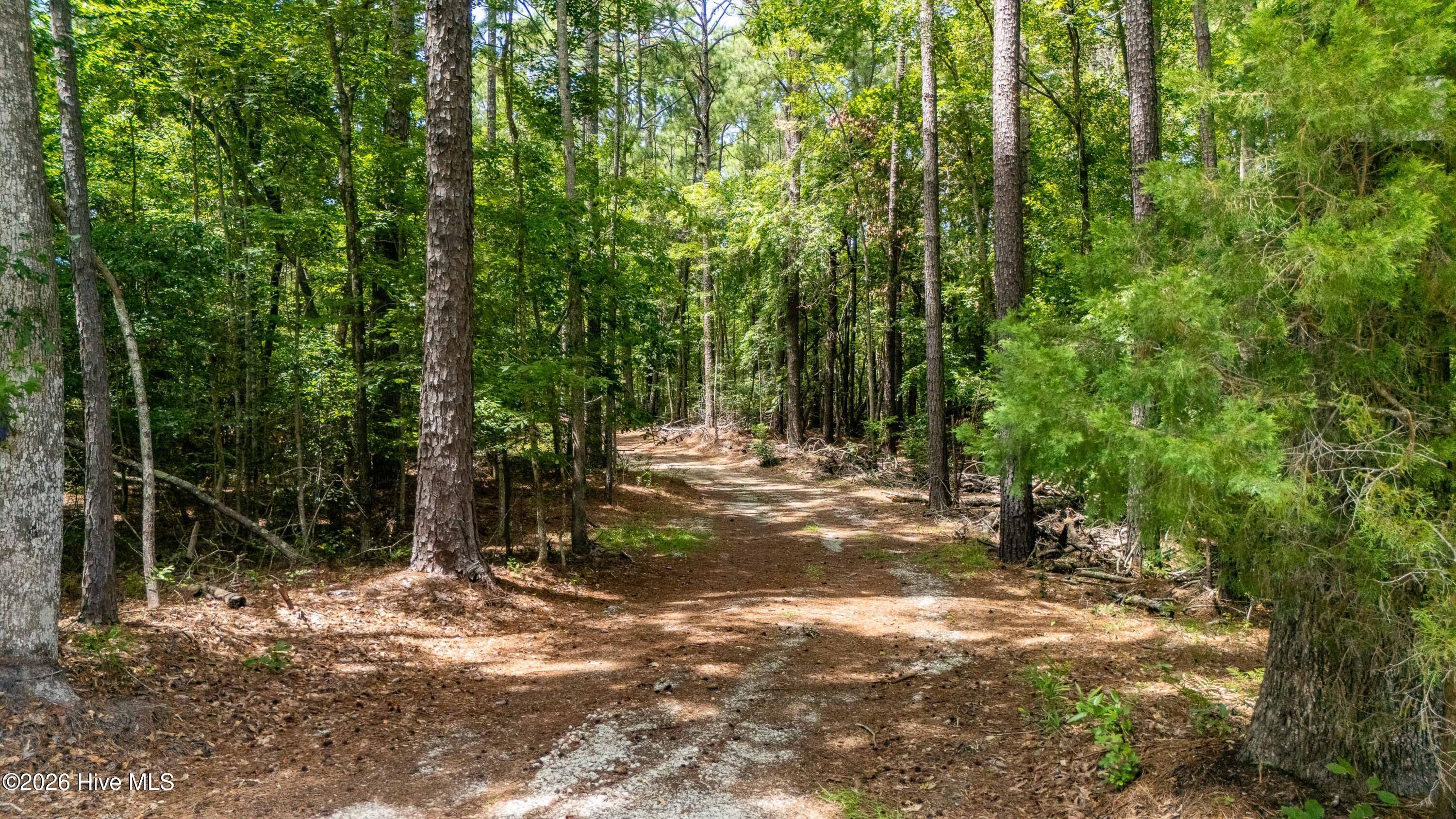 4th image of 000 Jeff Rd, Arapahoe, NC 28510 | MLS# 100596364