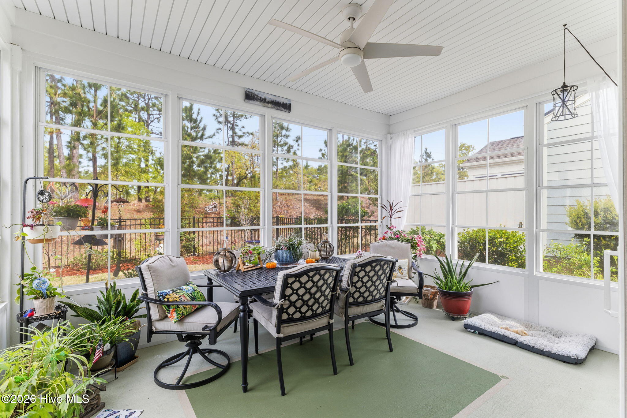 100565858 | Photo 35