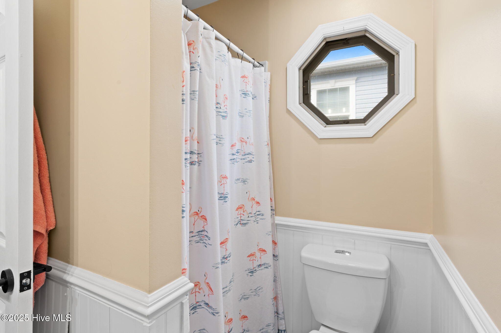 100539848 | Photo 35