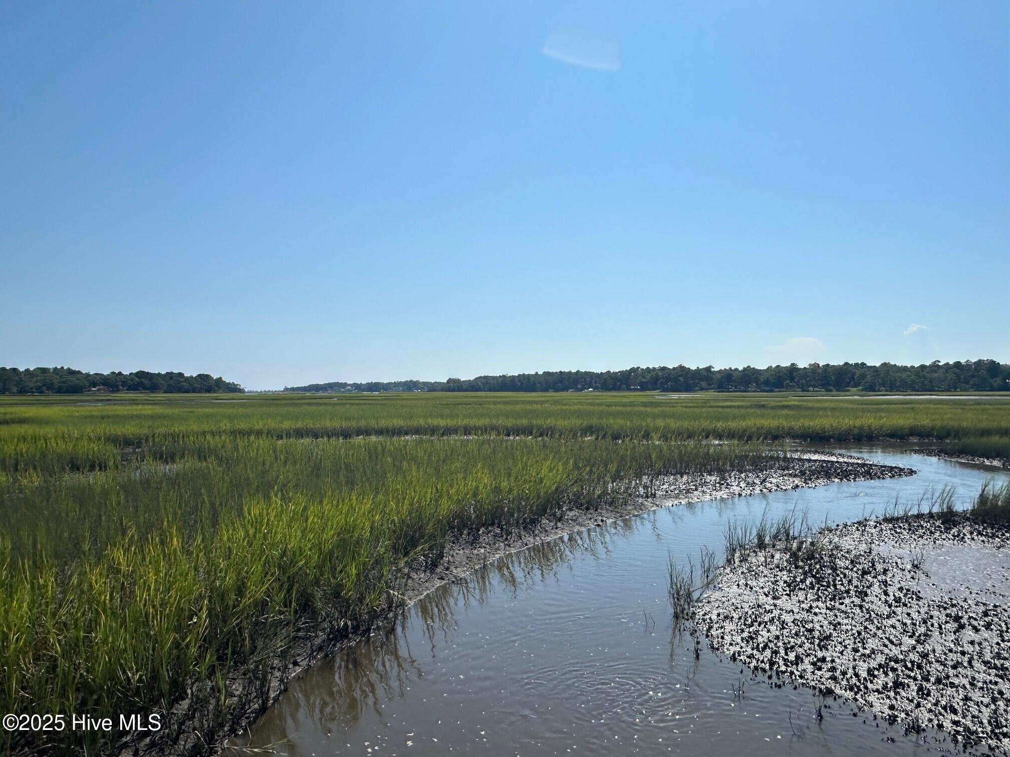 100512844 | Photo 16