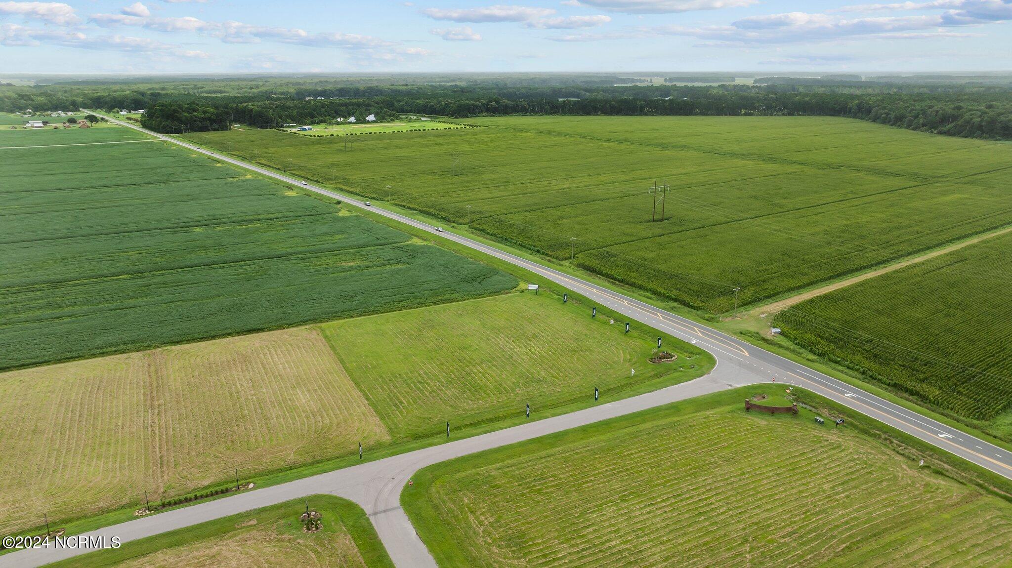 12-web-or-mls-DJI_0489