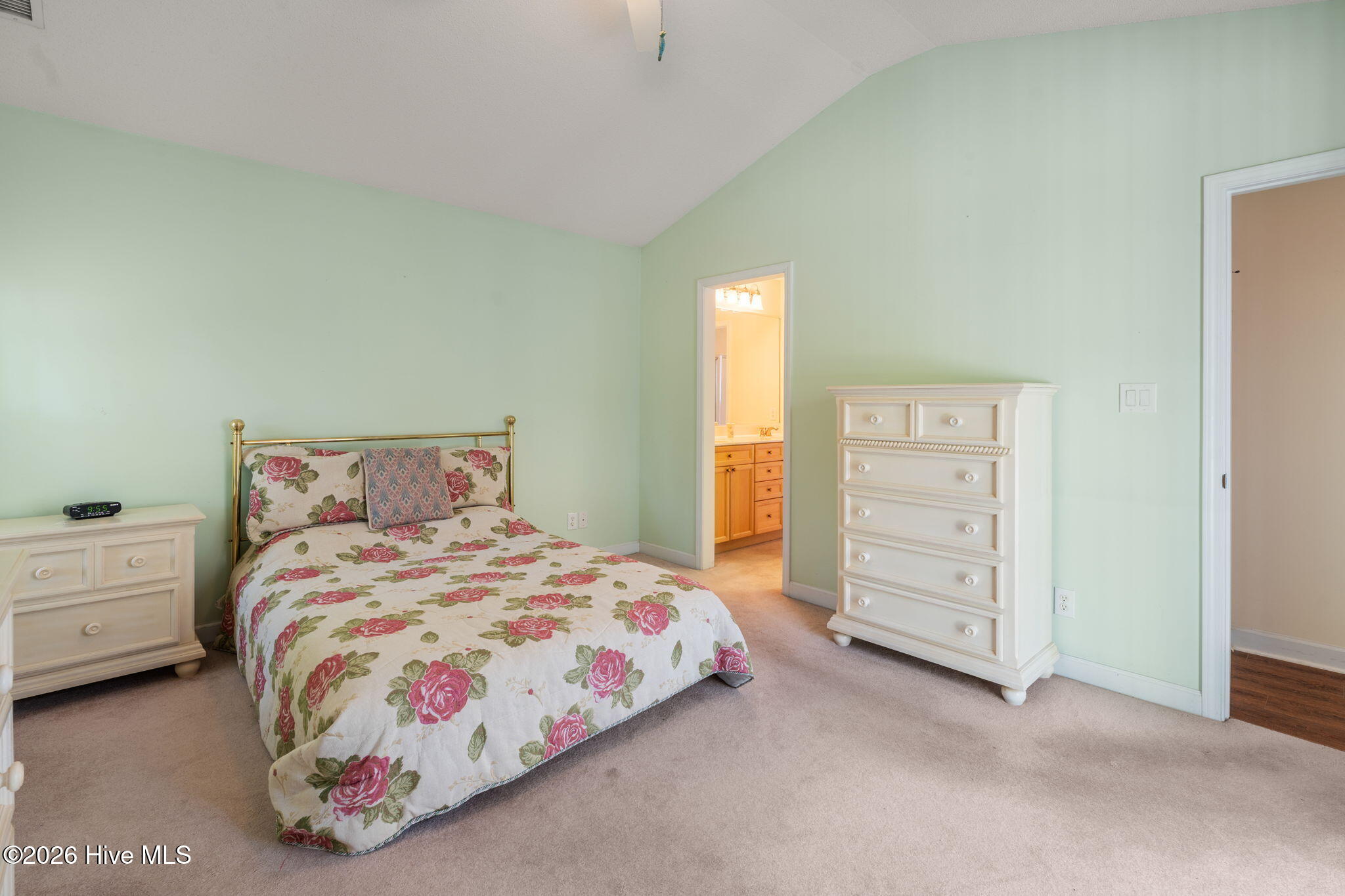 100567184 | Photo 25