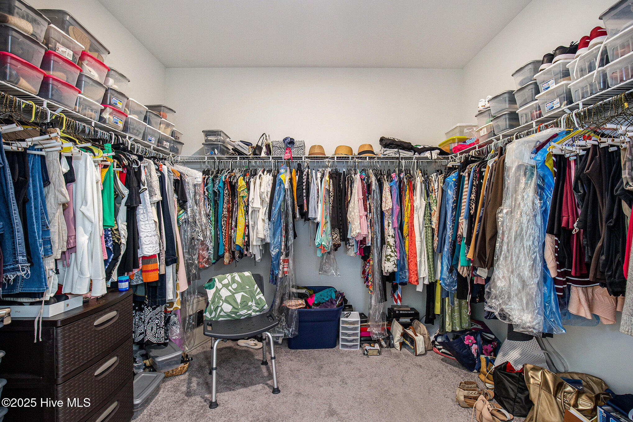 100529053 | Photo 22