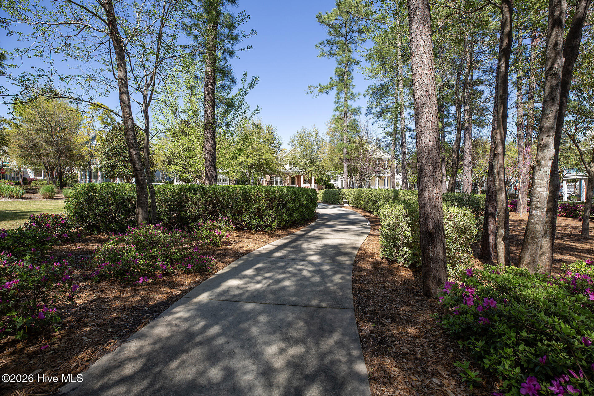 100563719 | Photo 61