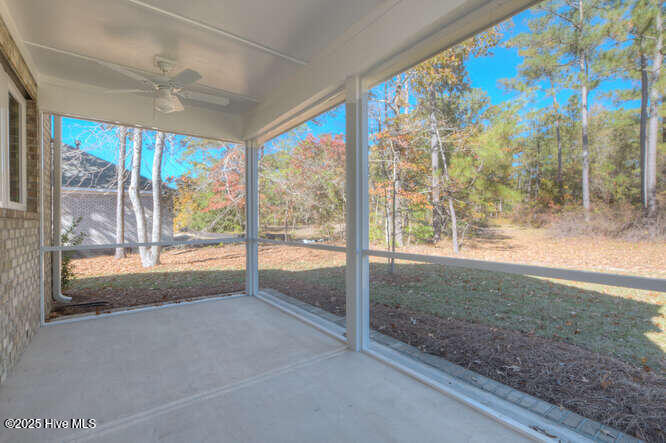 100540645 | Photo 39