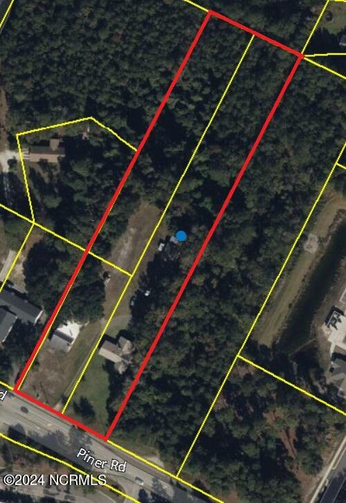 100466461 | Photo 20