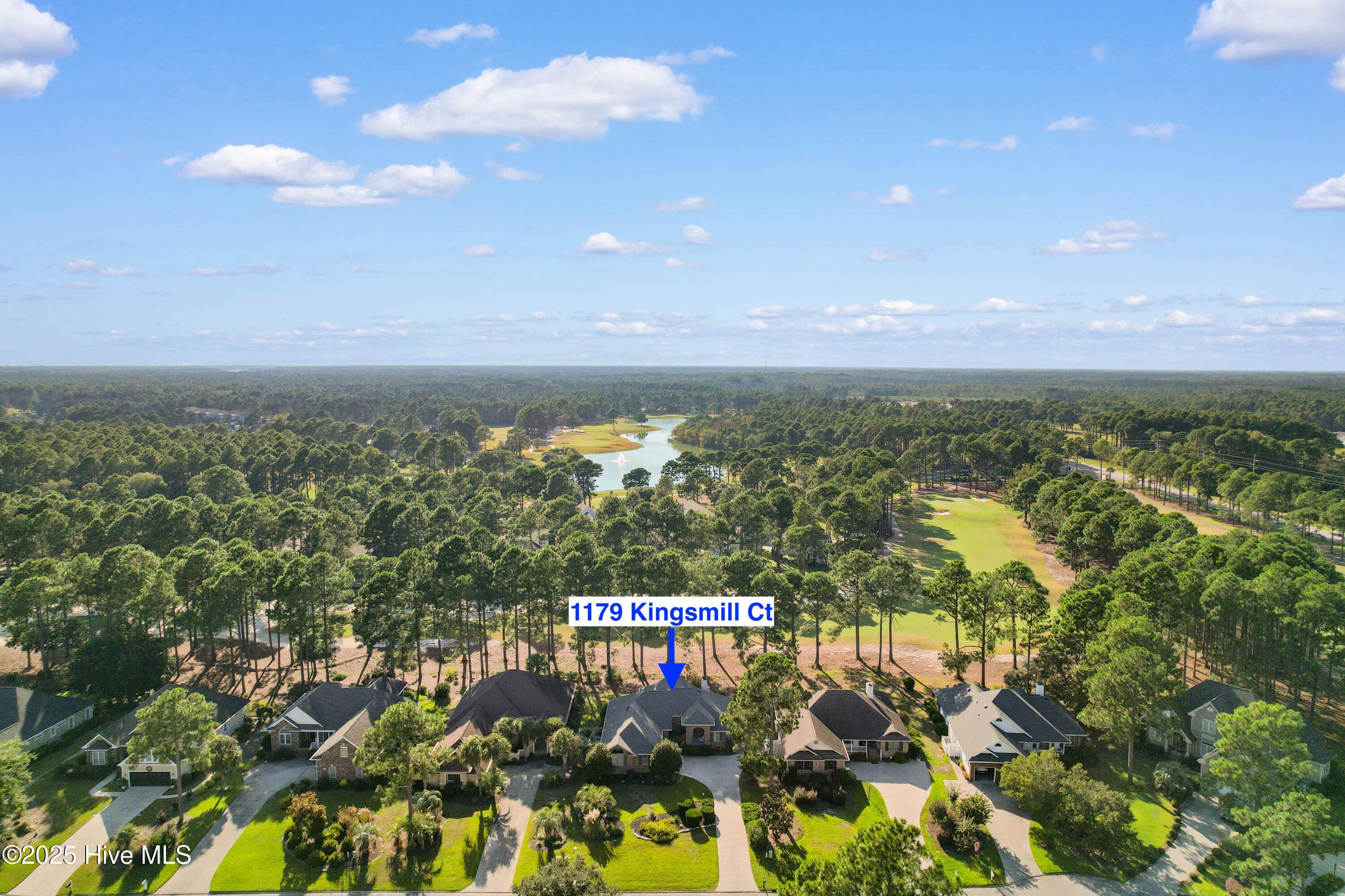 100531039 | Photo 37