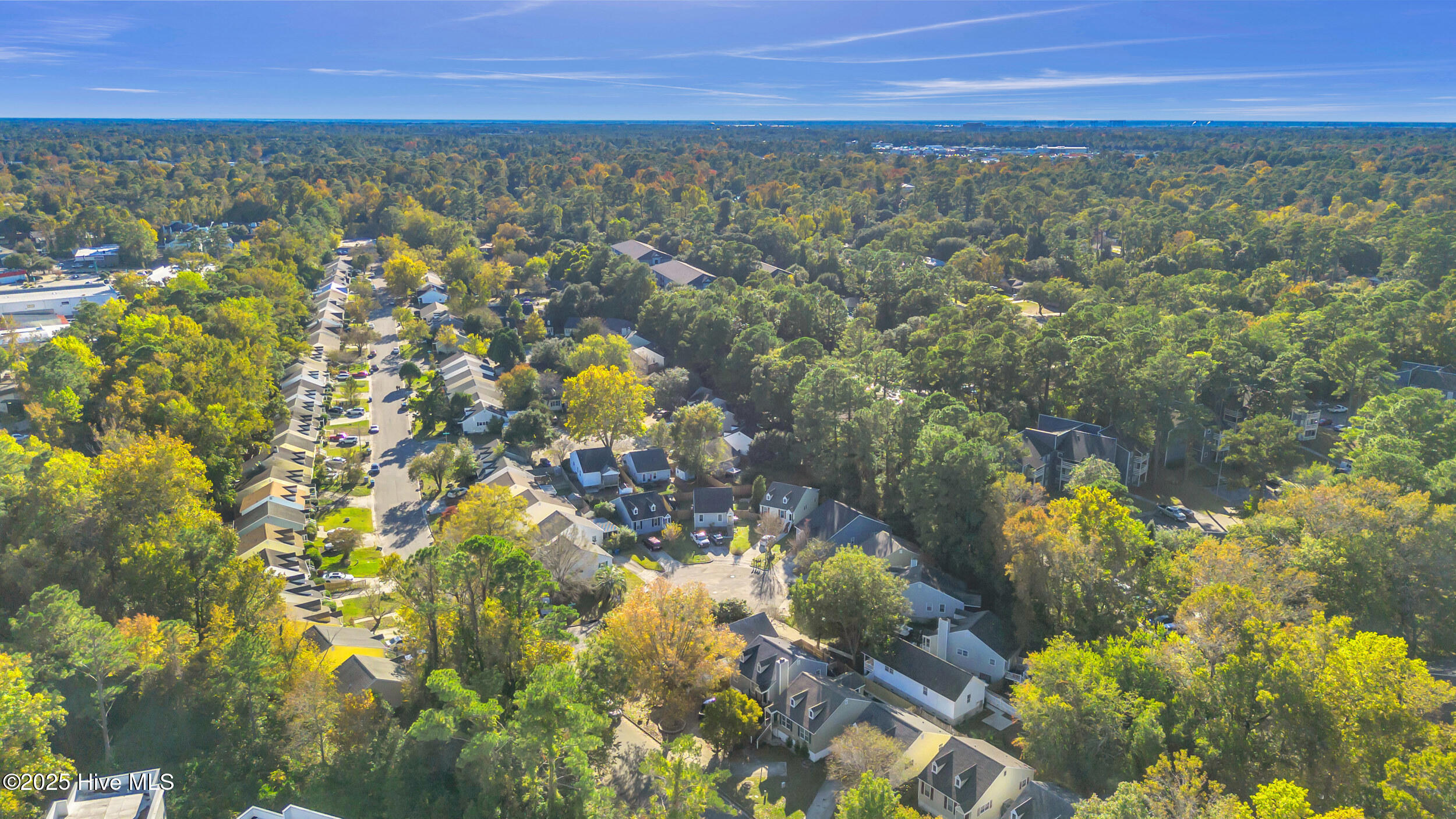 100540168 | Photo 42