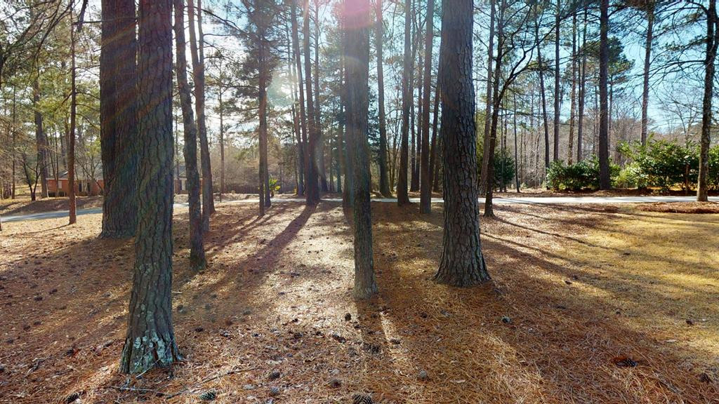 1441 Plantation Circle, Lincolnton, GA 30817 Listing Photo  5