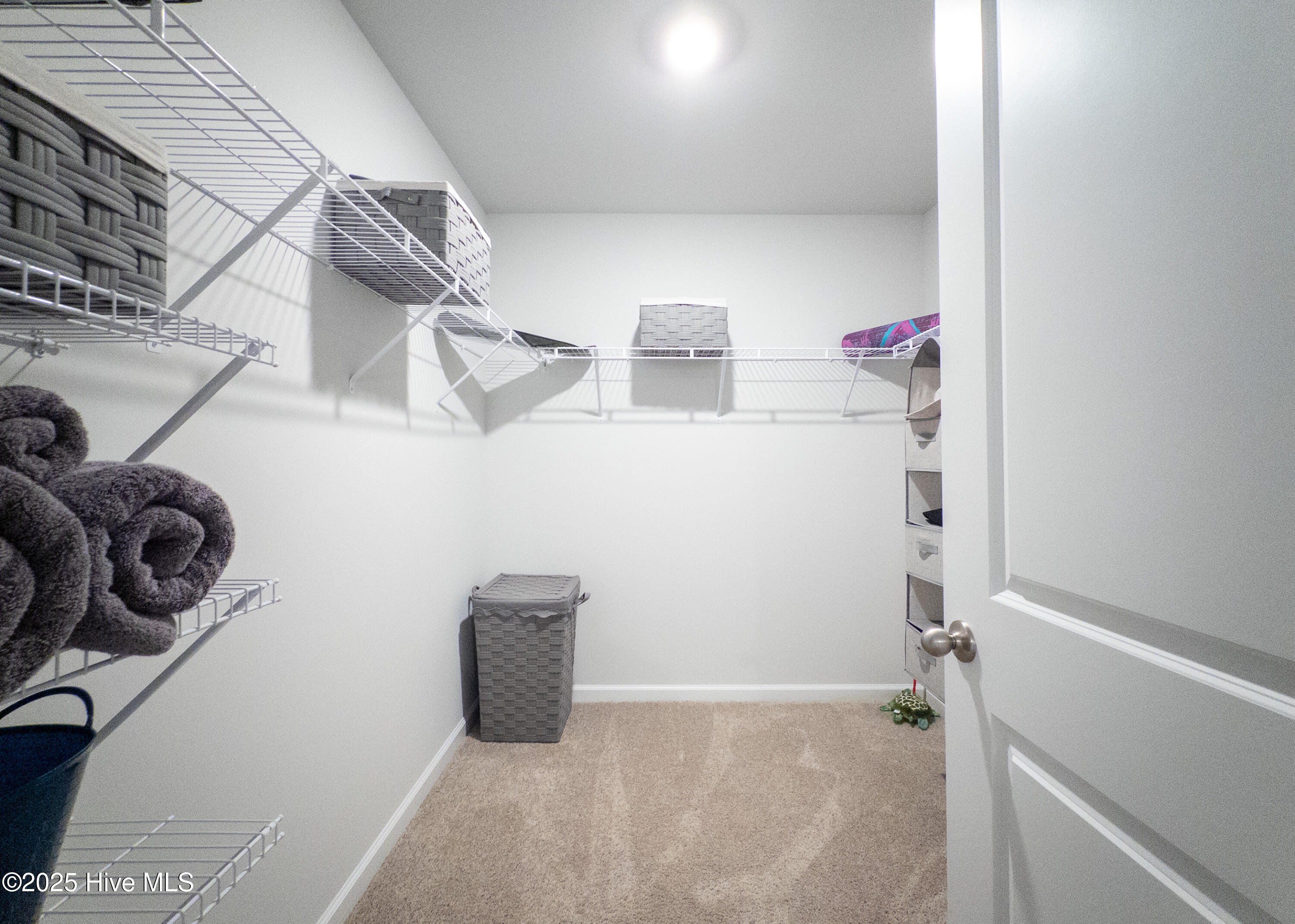 100543379 | Photo 28