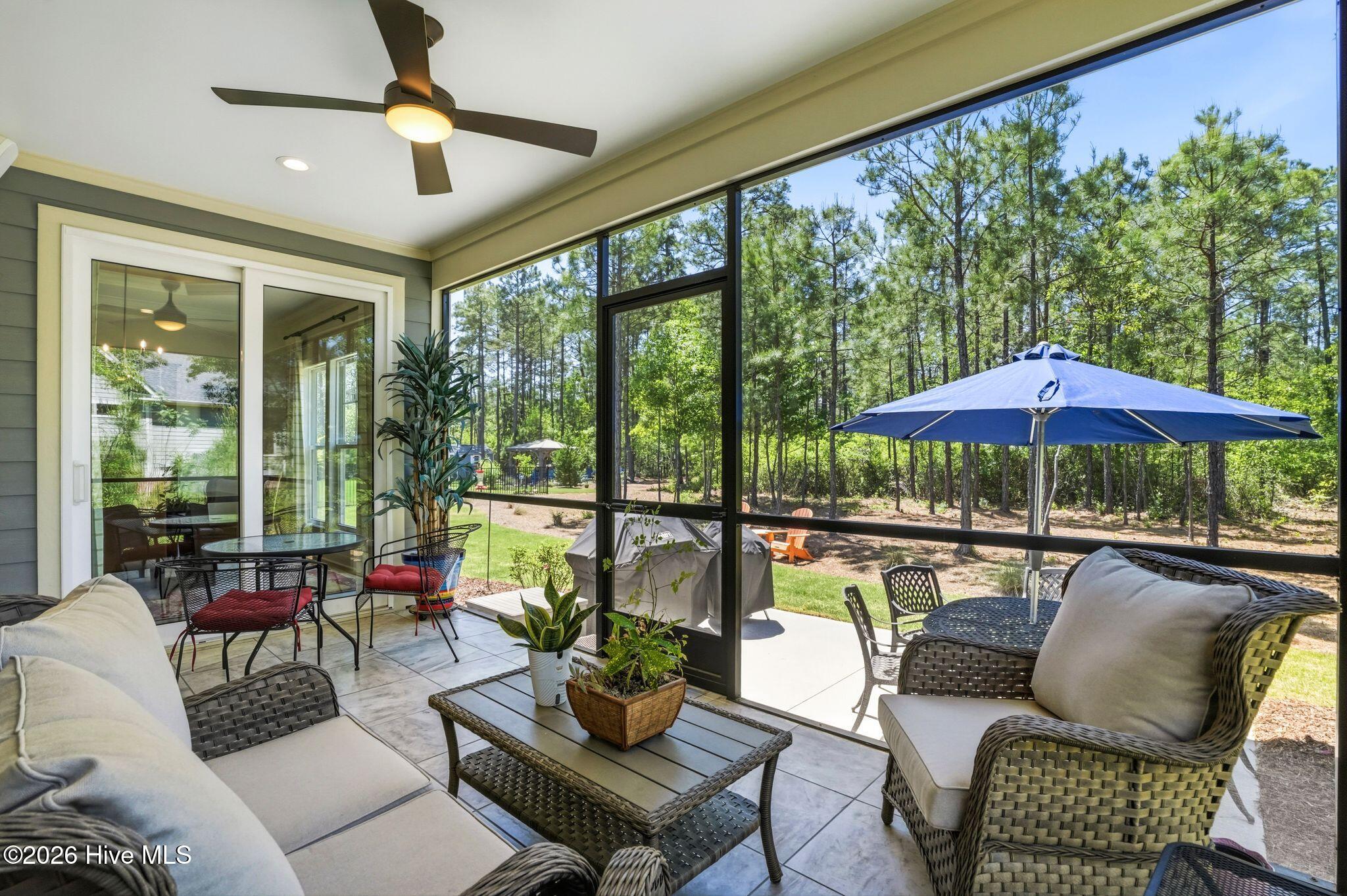 100569004 | Photo 42