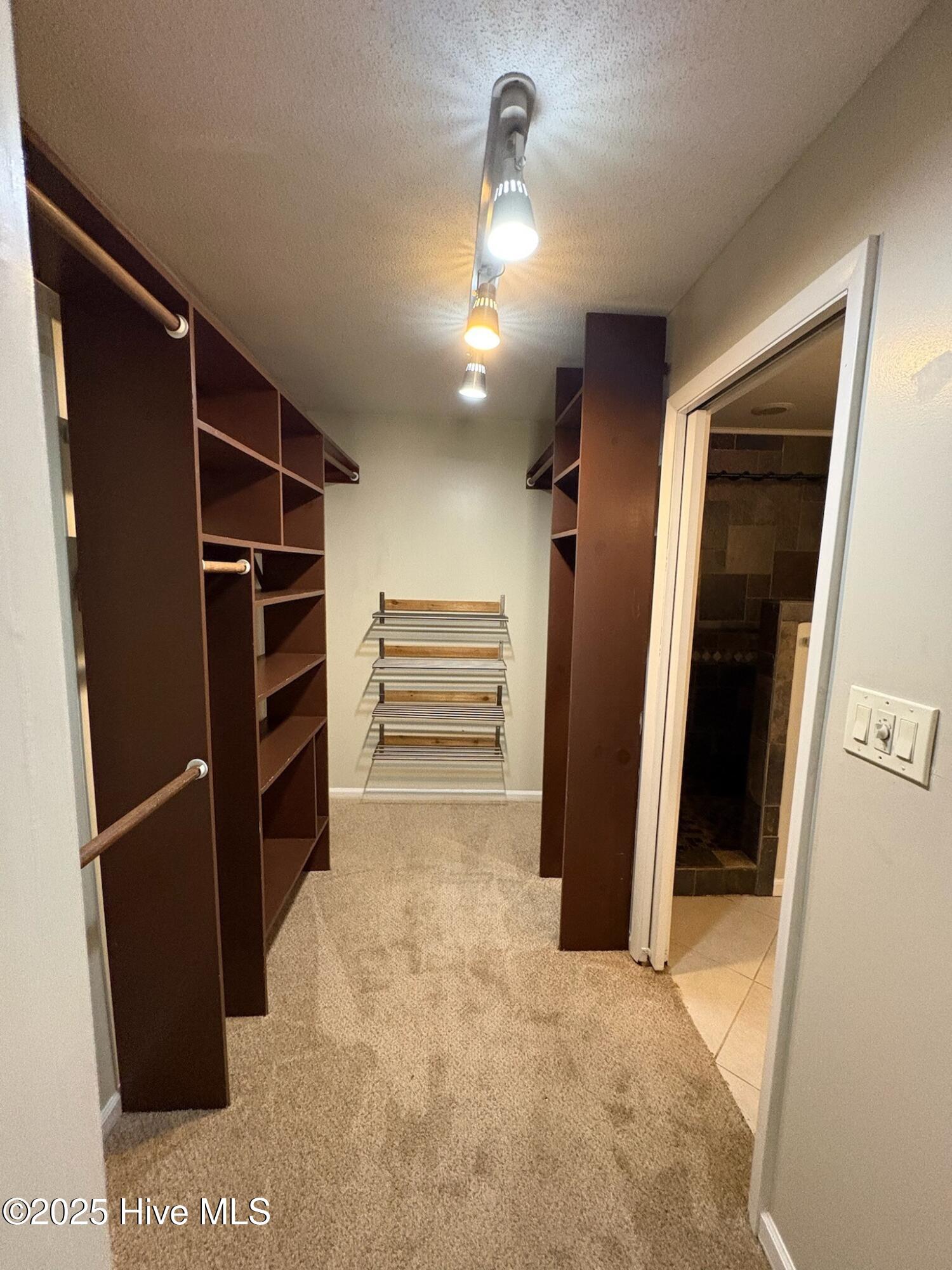 100541721 | Photo 15