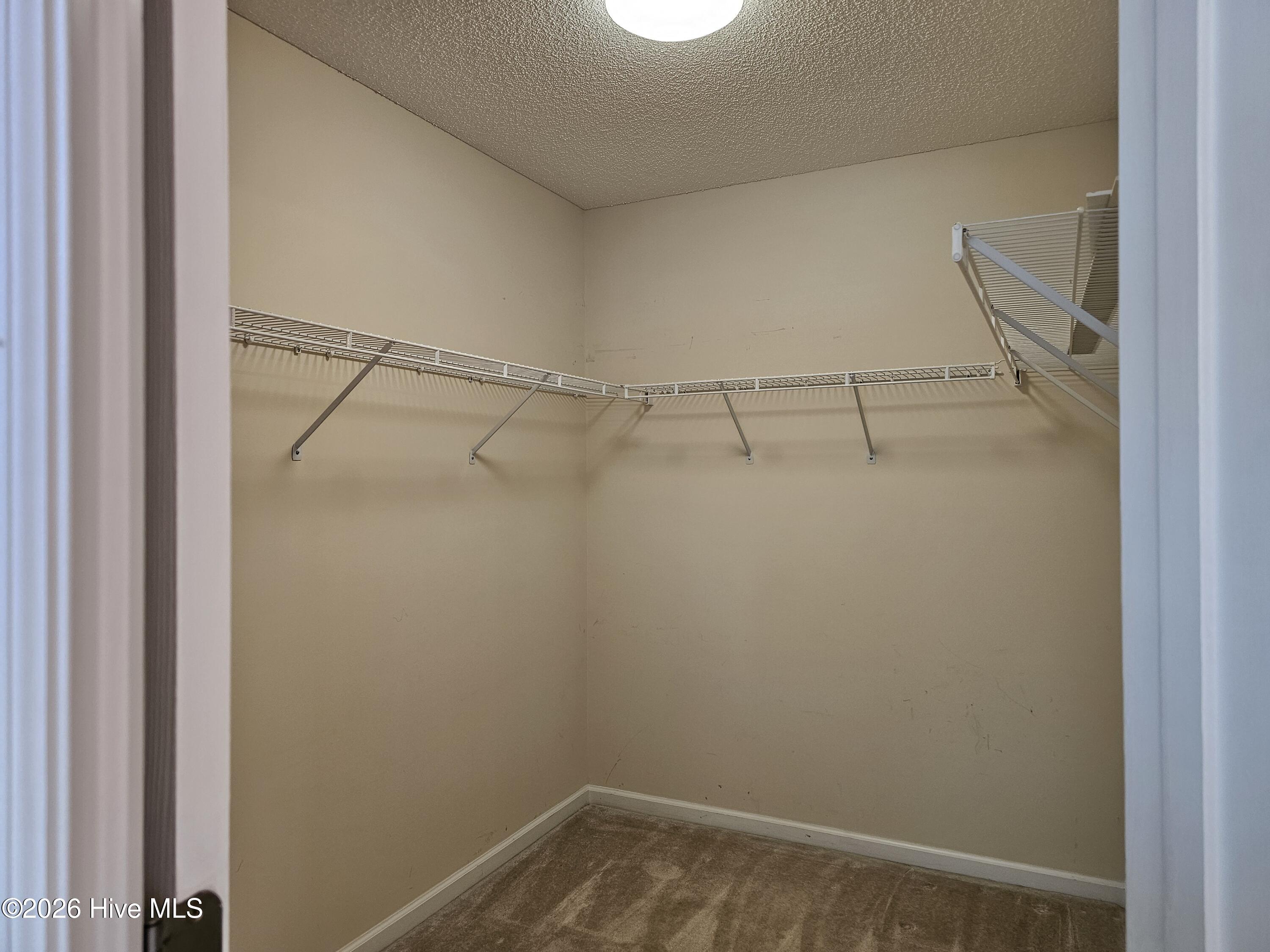 100566879 | Photo 16