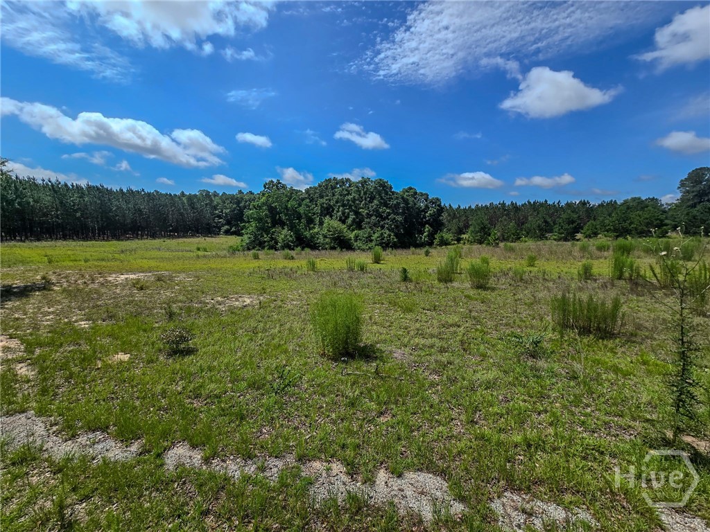 1st image of 0 Village Rd, Sylvania, GA 30467 | MLS# SA362913