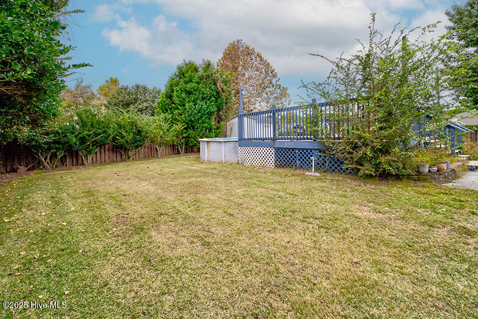 100539152 | Photo 29