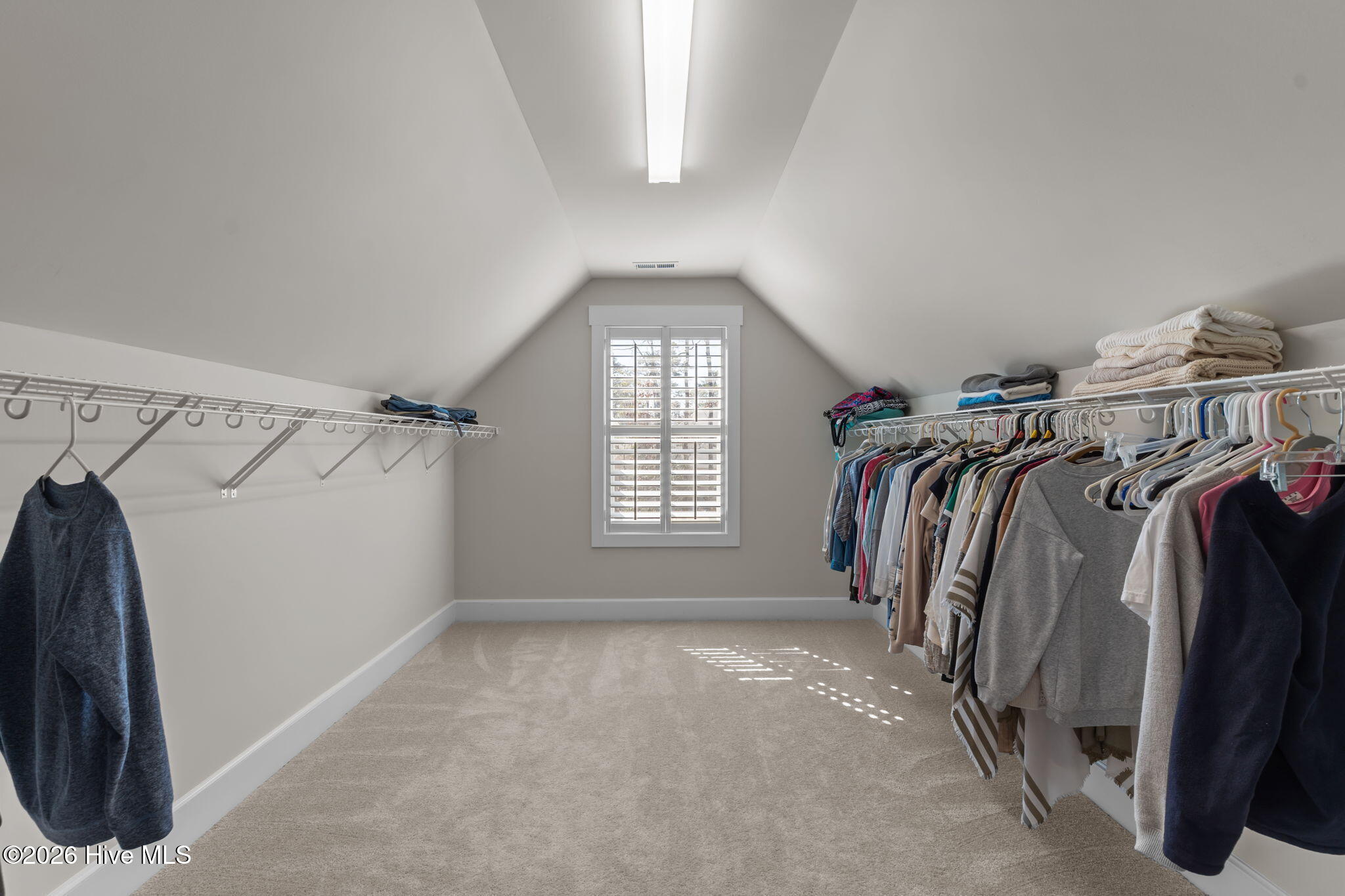 100555424 | Photo 39