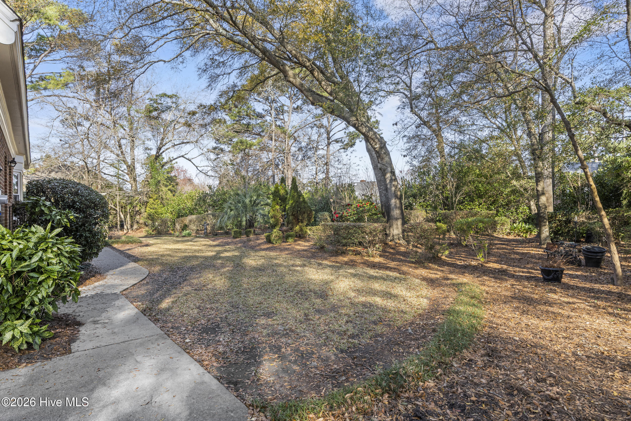 100560704 | Photo 68