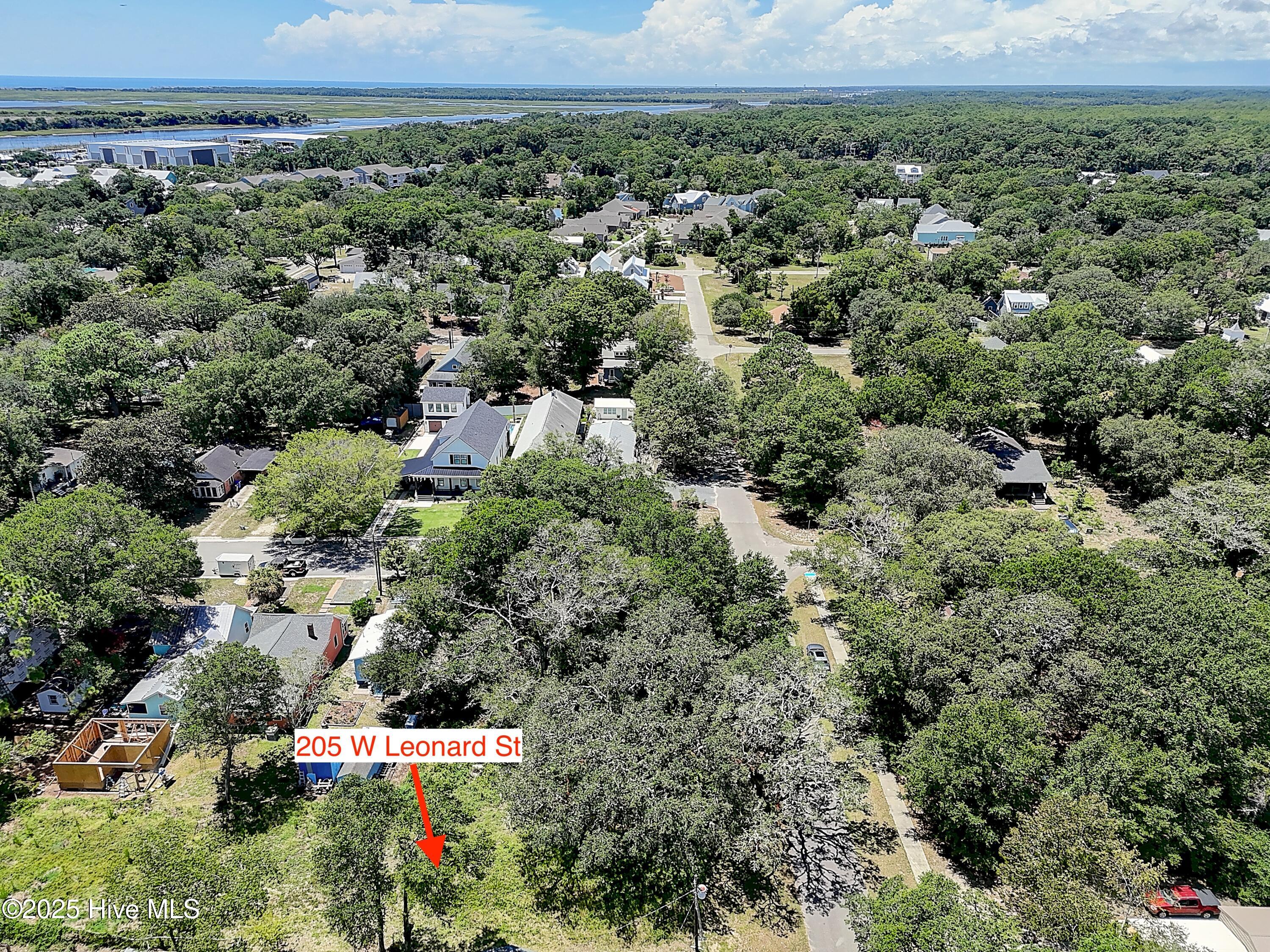 100521668 | Photo 10