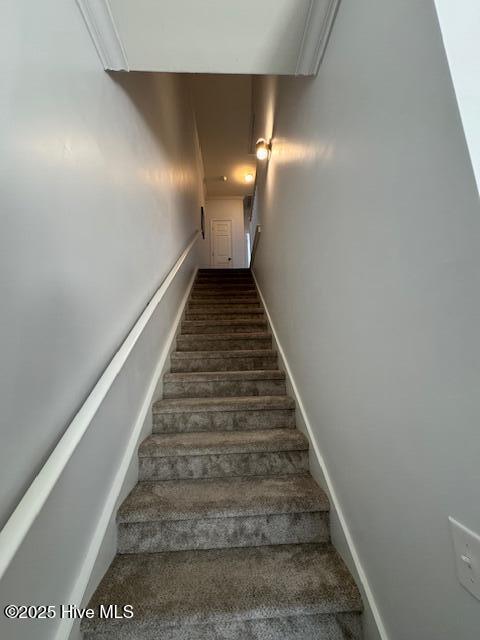 100499994 | Photo 11