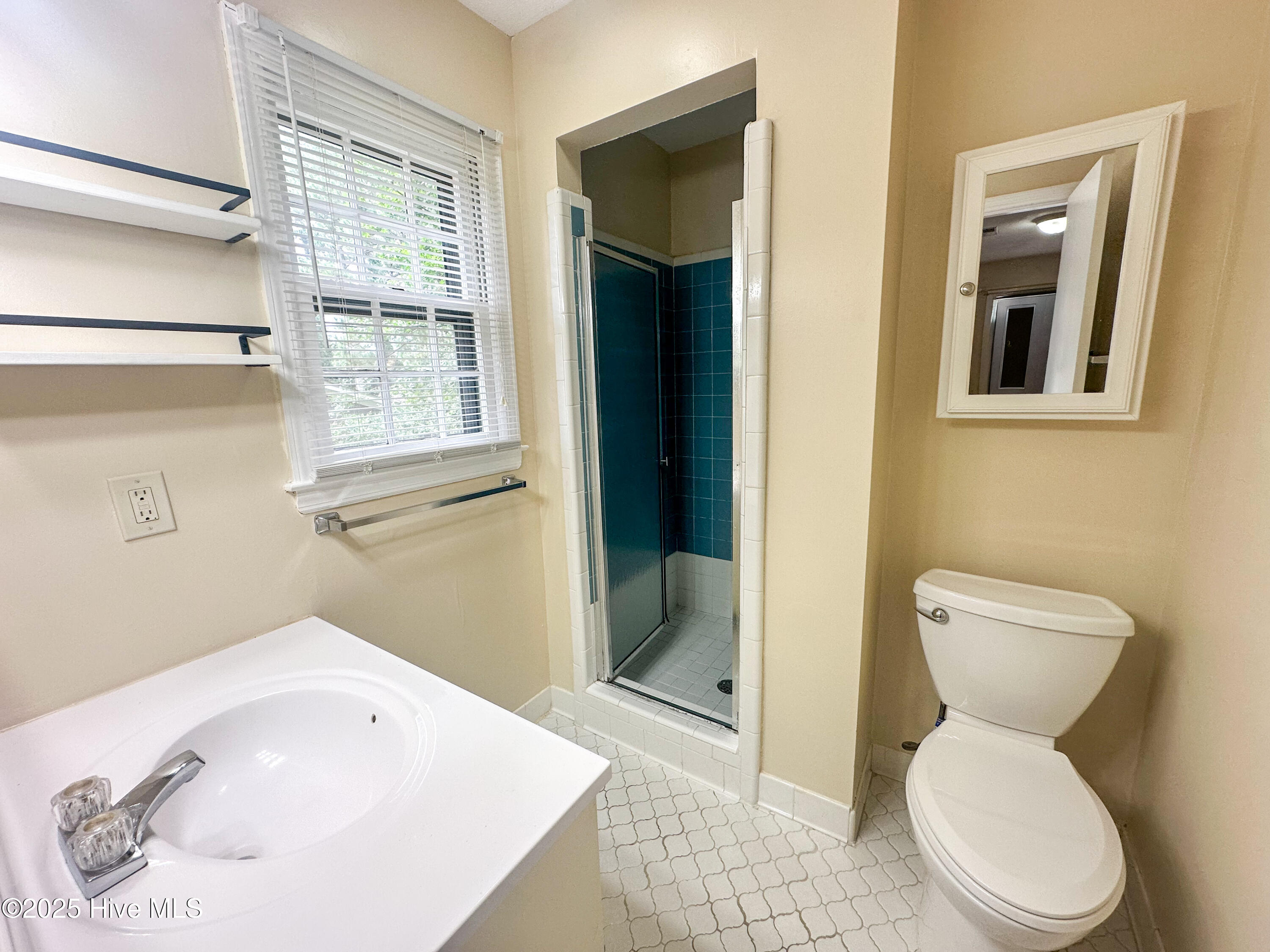 100529841 | Photo 25