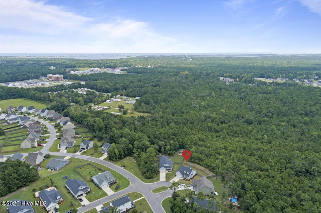 100553850 | Photo 32