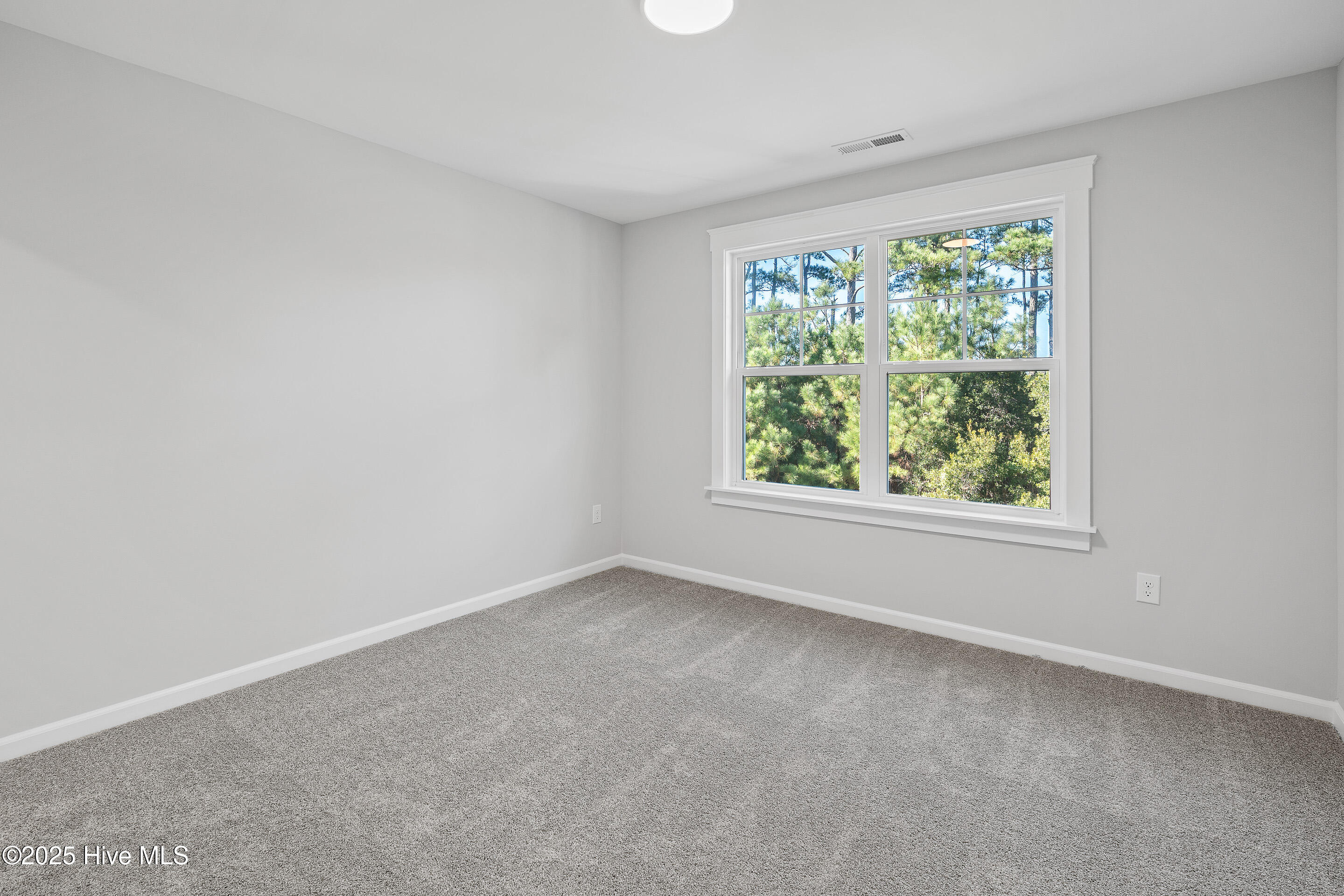 100501651 | Photo 25