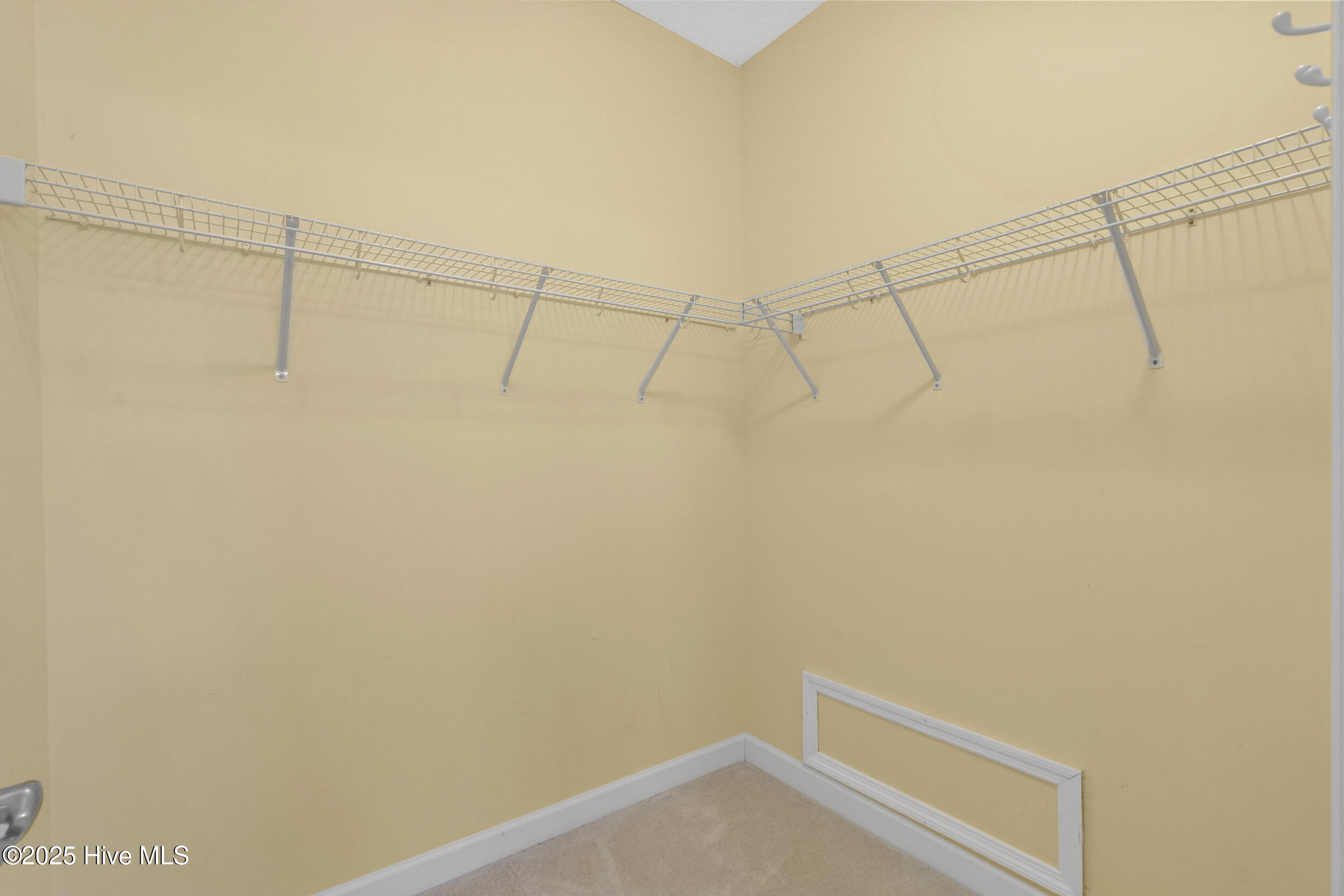 100529171 | Photo 20