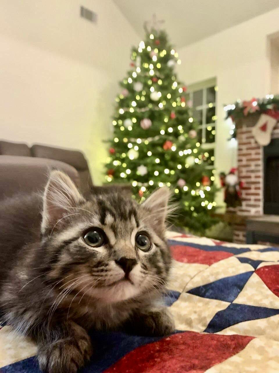 29d20cfa-180e-4660-bda6-d9984a8166f0