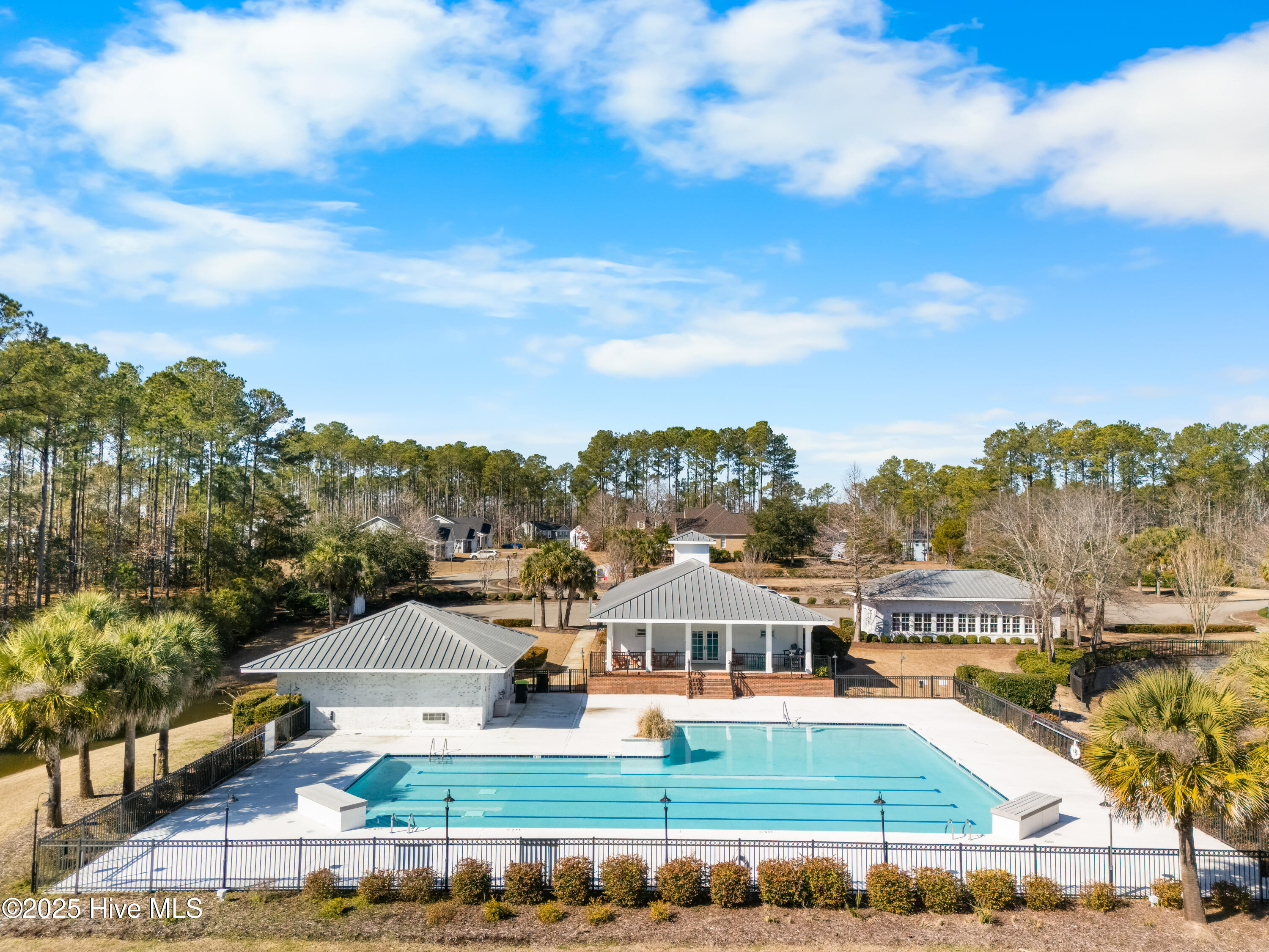 100487314 | Photo 16