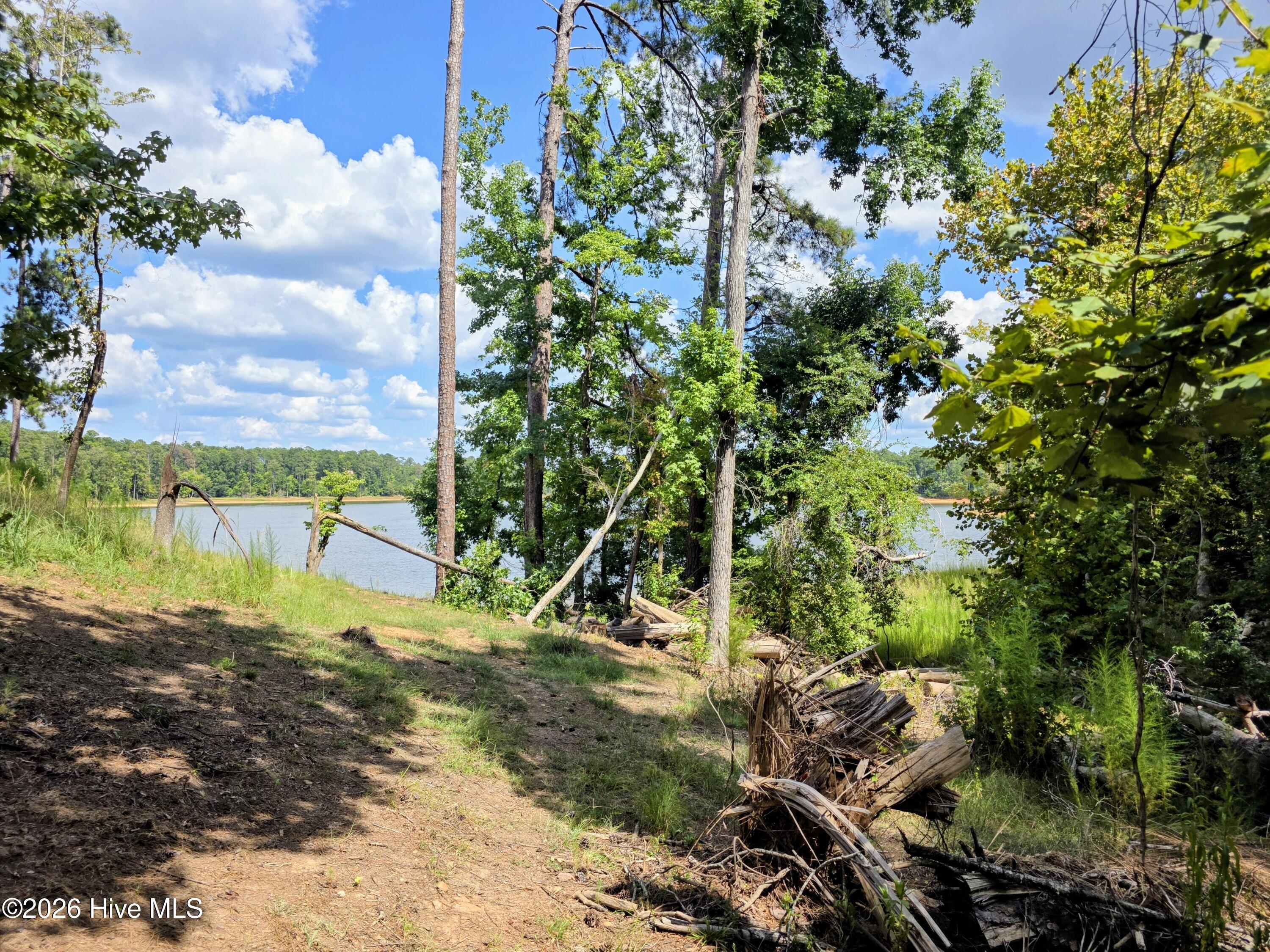 119 Waters Edge, McCormick, South Carolina, 0 ,Residential Lot,For sale,Waters Edge,100603857 119 Waters Edge, McCormick, South Carolina, 0 ,Residential Lot,For sale,Waters Edge,100603857