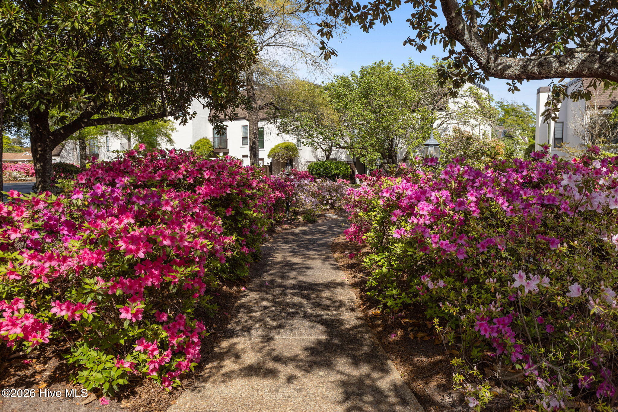 142 Corncake Circle,Morehead City