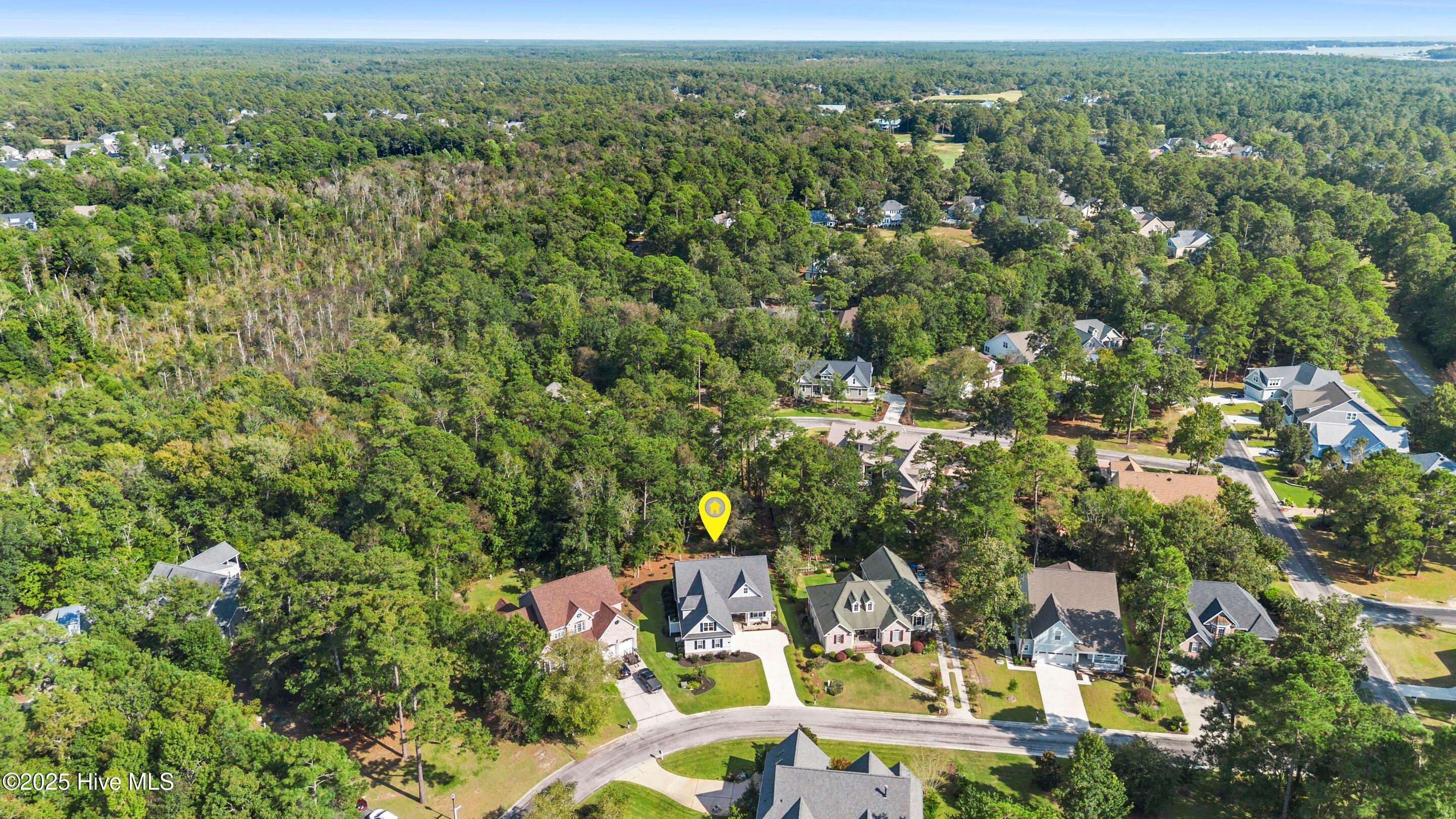 100558361 | Photo 113