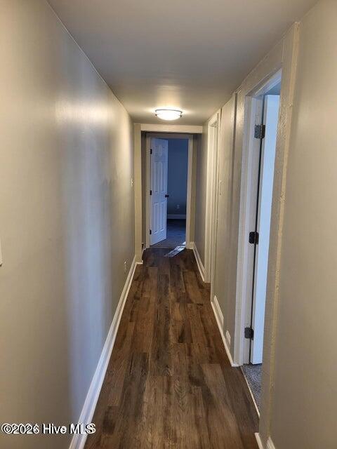 100553497 | Photo 26